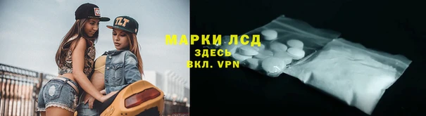 СК Мурманск